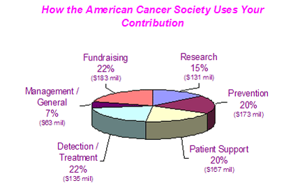American Cancer Society Contribution Pie Chart